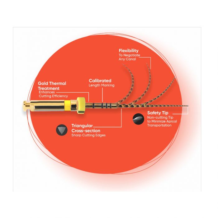 NEO006 neoendo flex file 21MM (2)